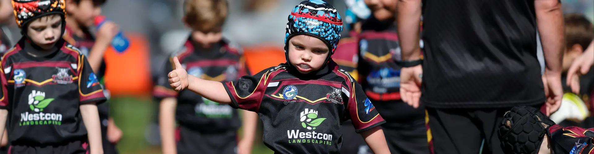 NSW Rugby League Ltd