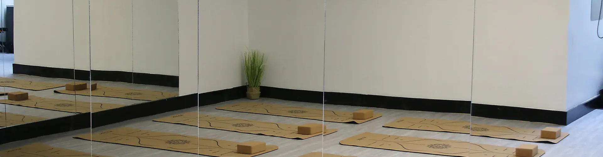 Lana & Friends Wellness Studio