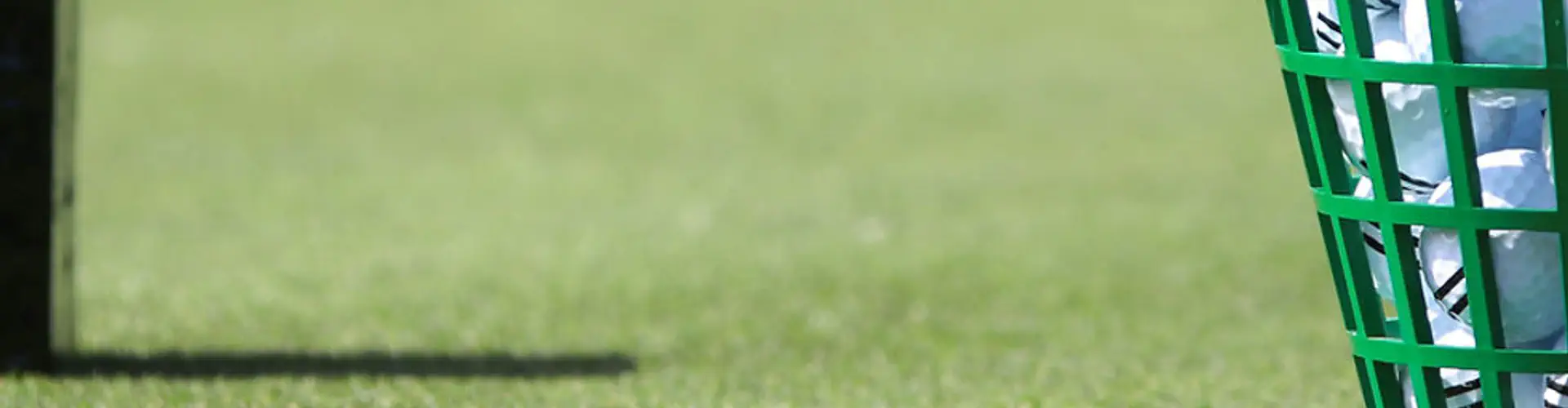 SM Golf Coaching