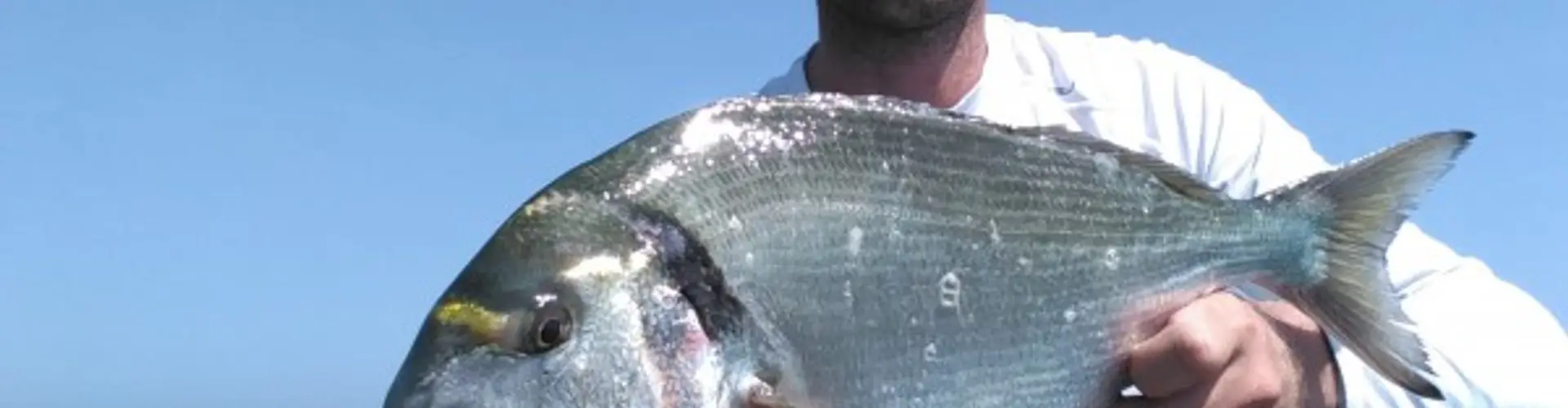 Emeraude Sensation Pêche
