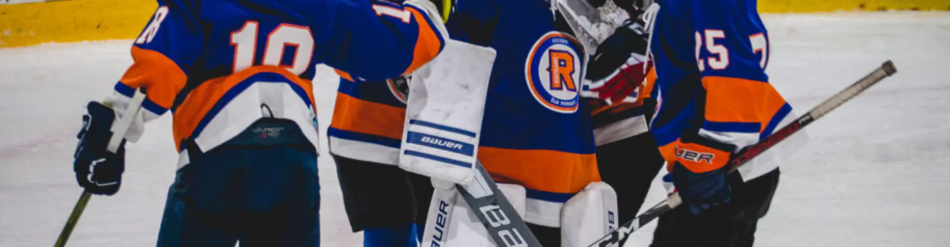 ASSOCIATION DE HOCKEY MINEUR ILE PERROT