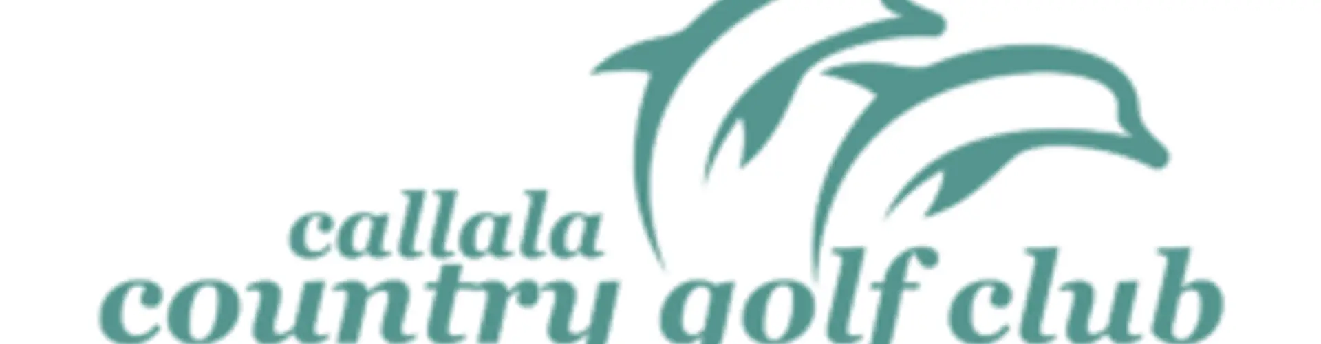 Darts at Club Callala