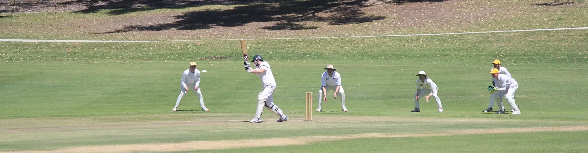 Whitfords & District Senior Cricket Club