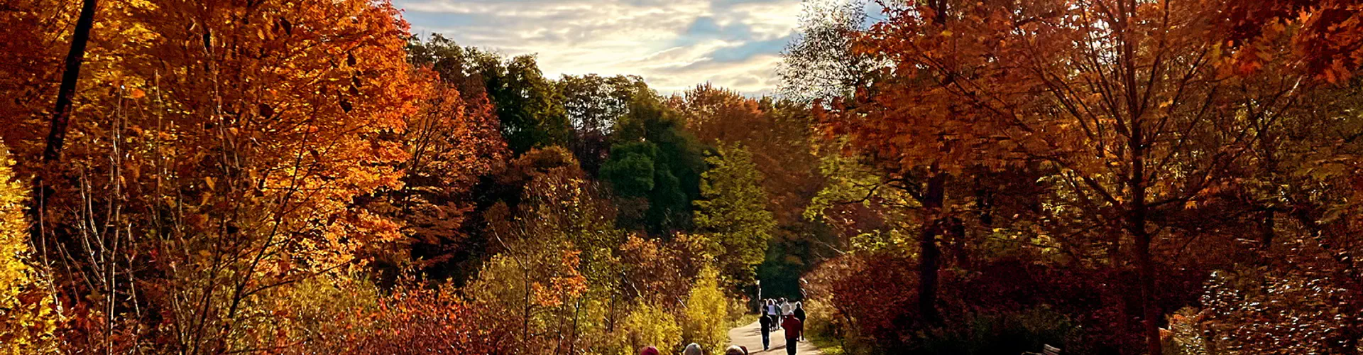 Falling Leaves, Rising Spirits