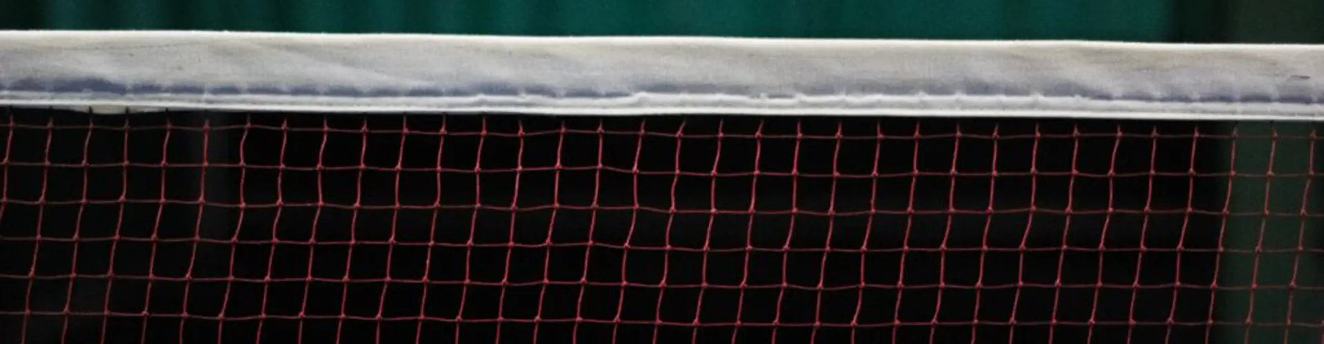 Ace Badminton