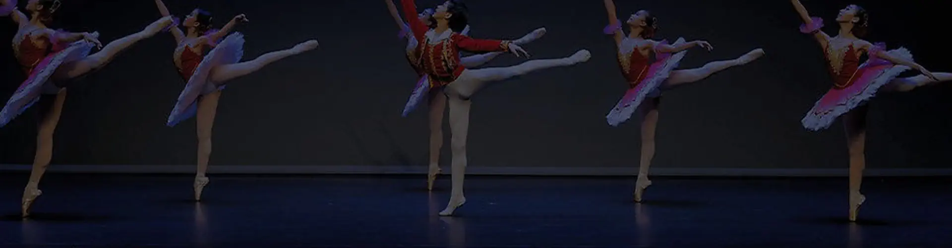 Dancepointe Academy @ Bishan