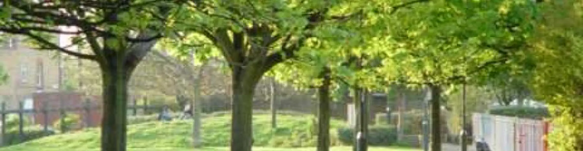 Larkhall Park