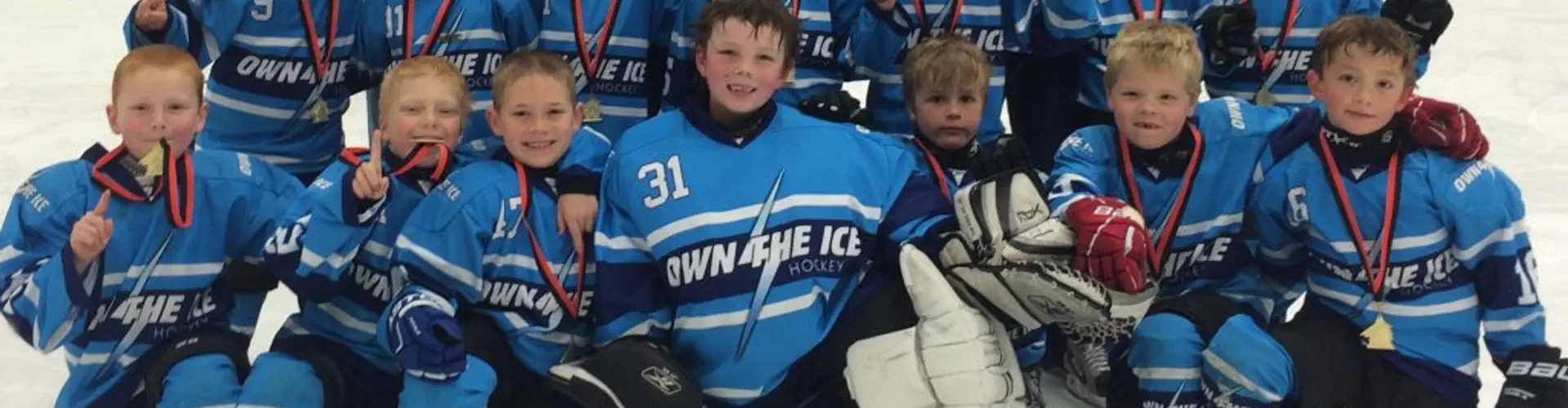 Own The Ice Hockey