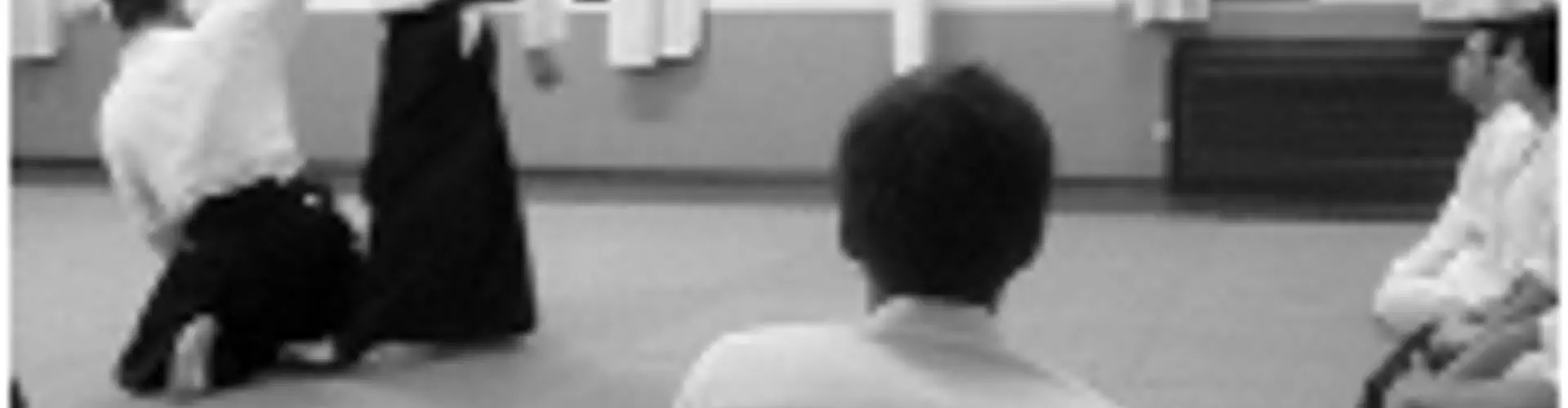 Harrow Aikido - Adult Classes for 18+