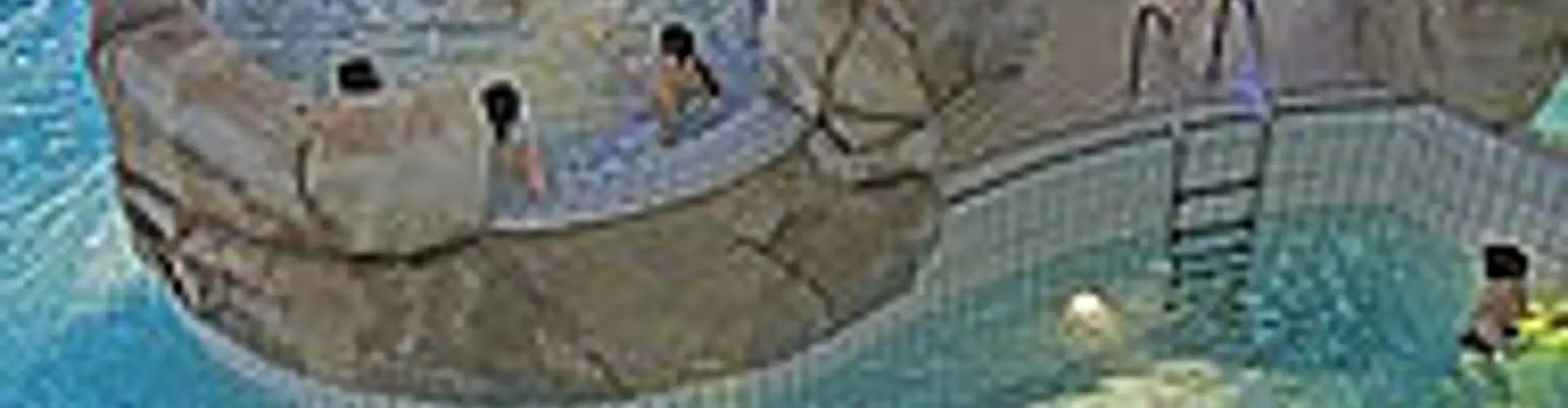 Piscine Androsace