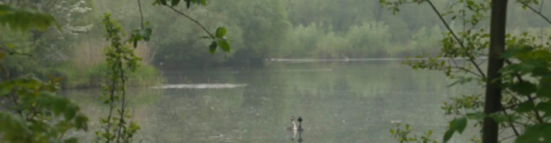Gipping Angling Preservation Society