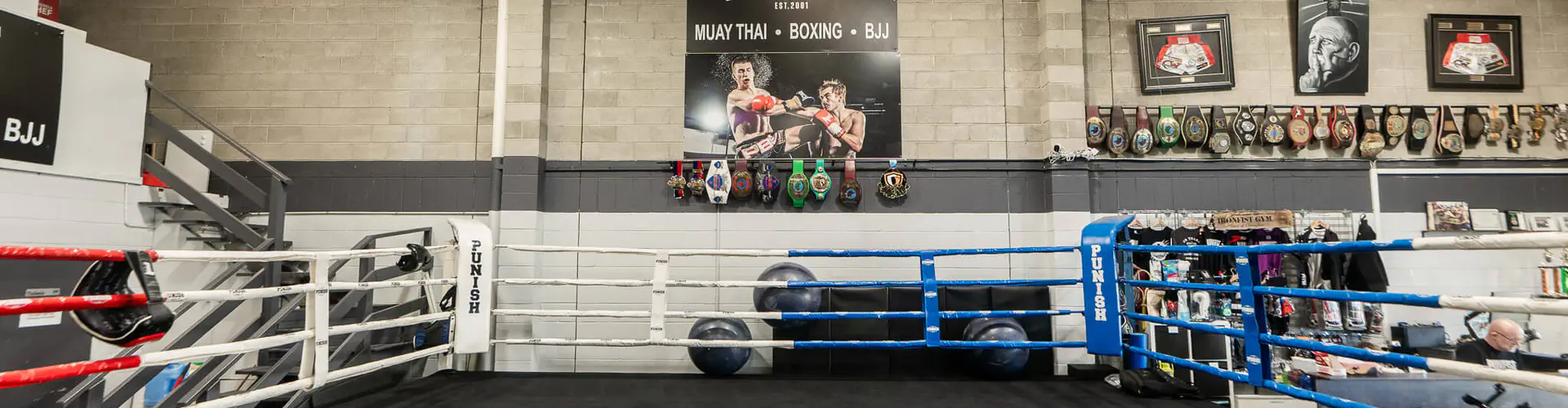 The Ironfist Gym EST 2001 - Muay Thai, Boxing, Brazilian Jiu Jitsu & MMA