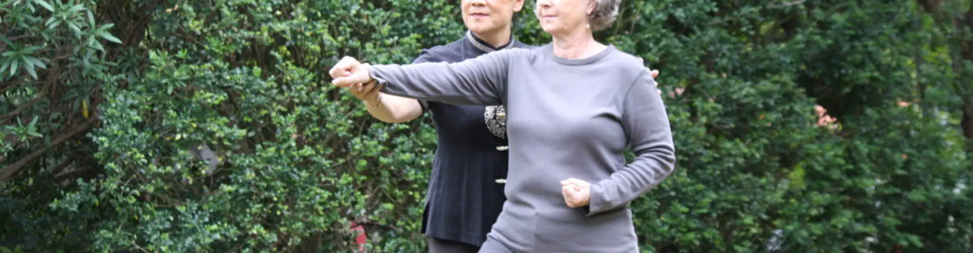 Traditional Qi Sydney - Acupuncture Clinic, Tai Chi, Qi Gong