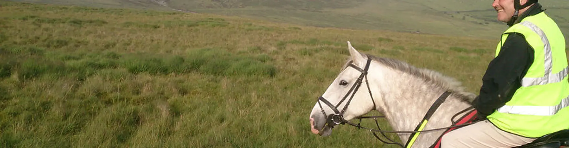 Preseli Pony Trekking at Ashvale Holiday & Riding Stables