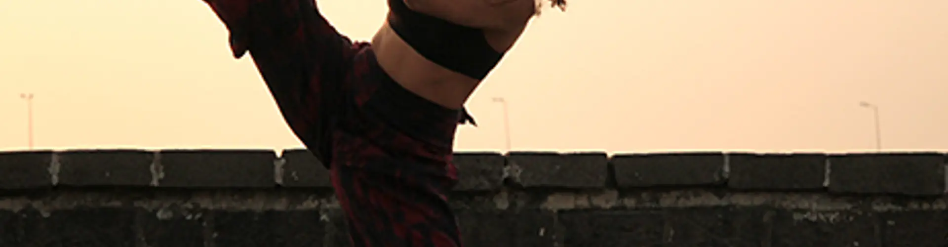 The danceworx Noida