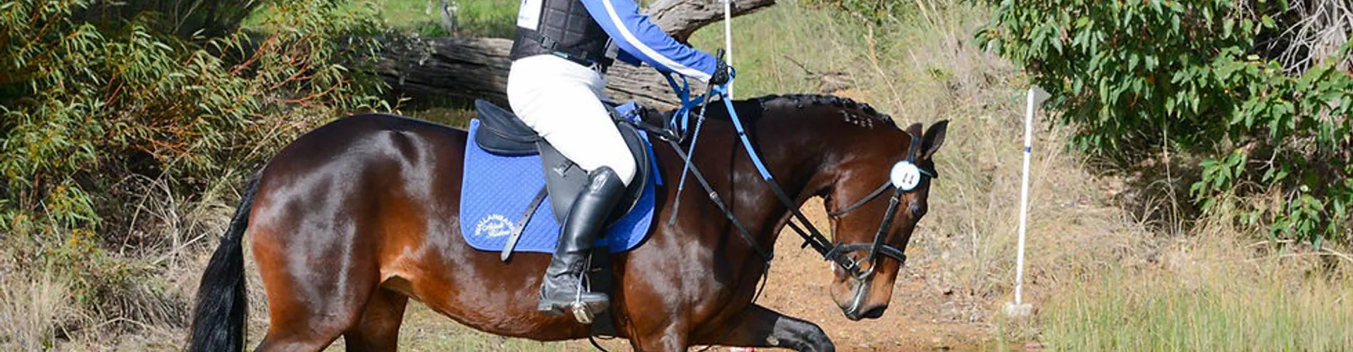 Wallangarra Adult Riders Club