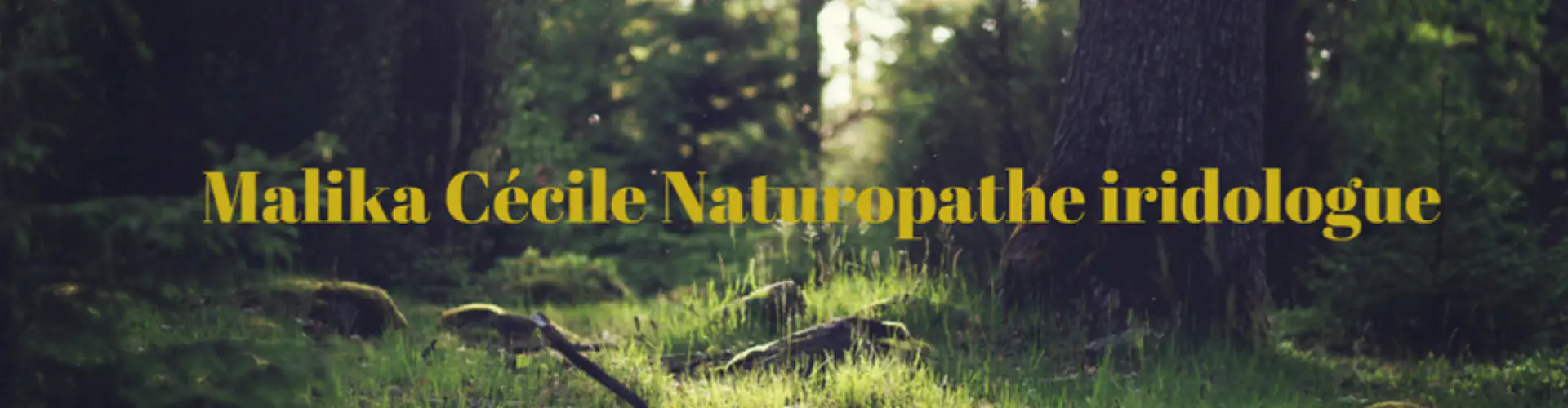 Cabinet De Naturopathie Iridologie, Kundalini Yoga