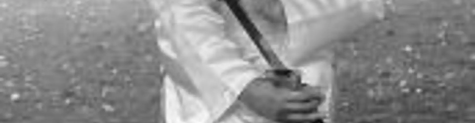 Wudang Tai Chi Chuan