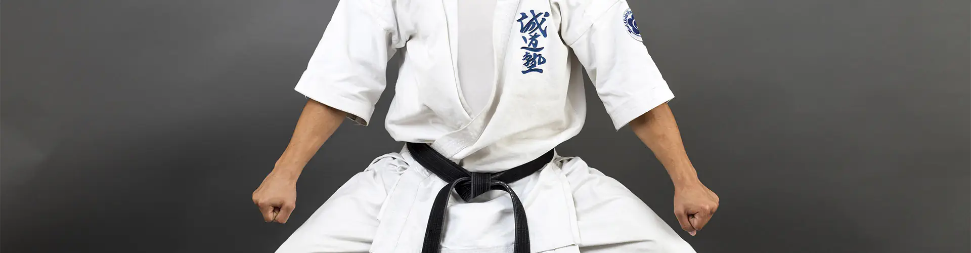 Seido Karate Nelson
