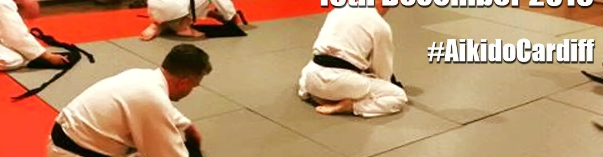 Cardiff Sho-Bu-Kan Aikido