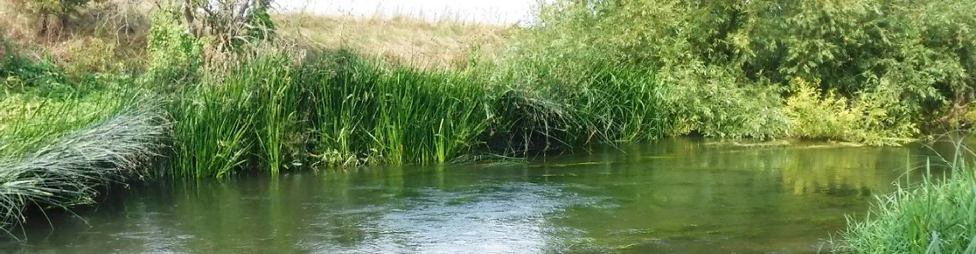 River Ouse - Milton Ernest Fishery (Verulam Angling Club)