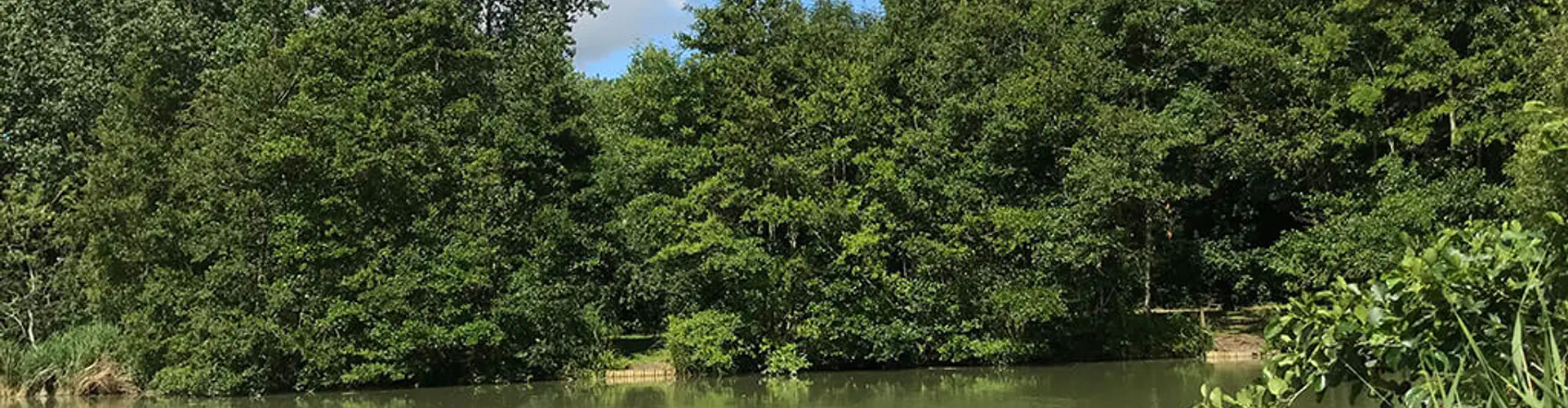 Chart Hill Lakes
