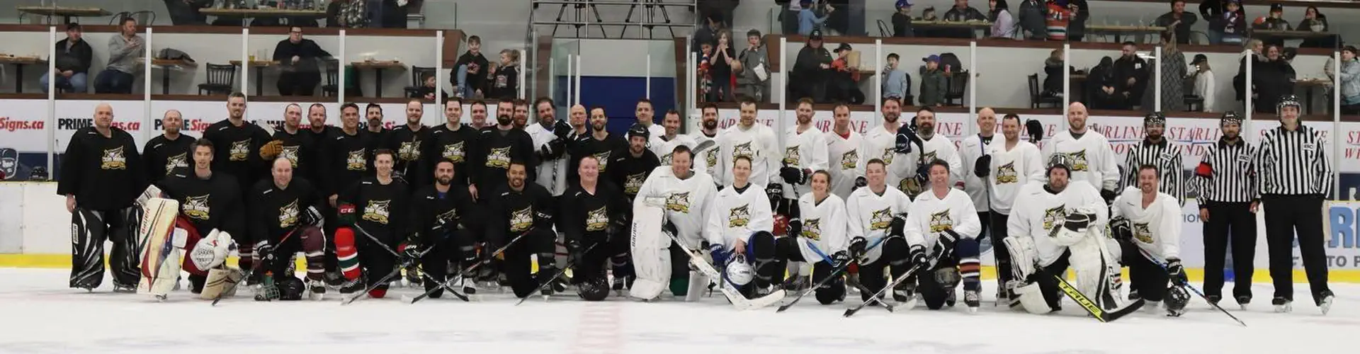 Langley Minor Hockey Association