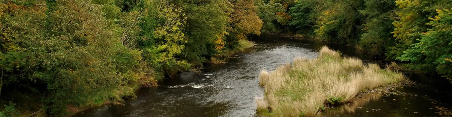 Whitewell Fishing Association