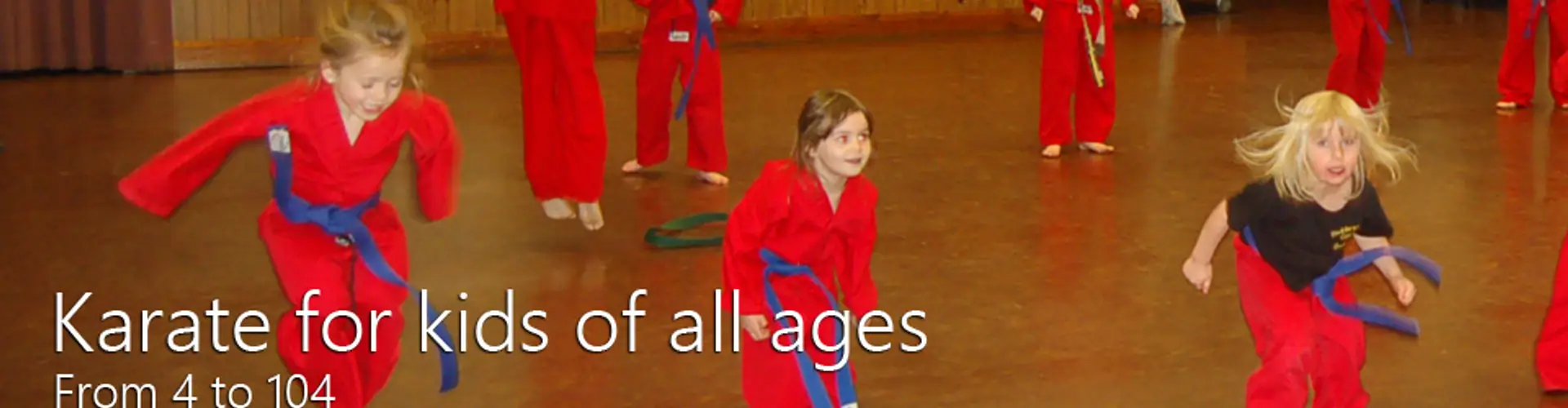 Huddersfield Cobras Freestyle Karate club