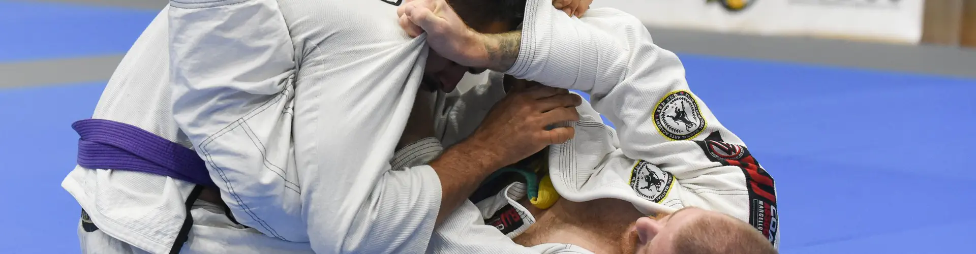 Newcastle Open