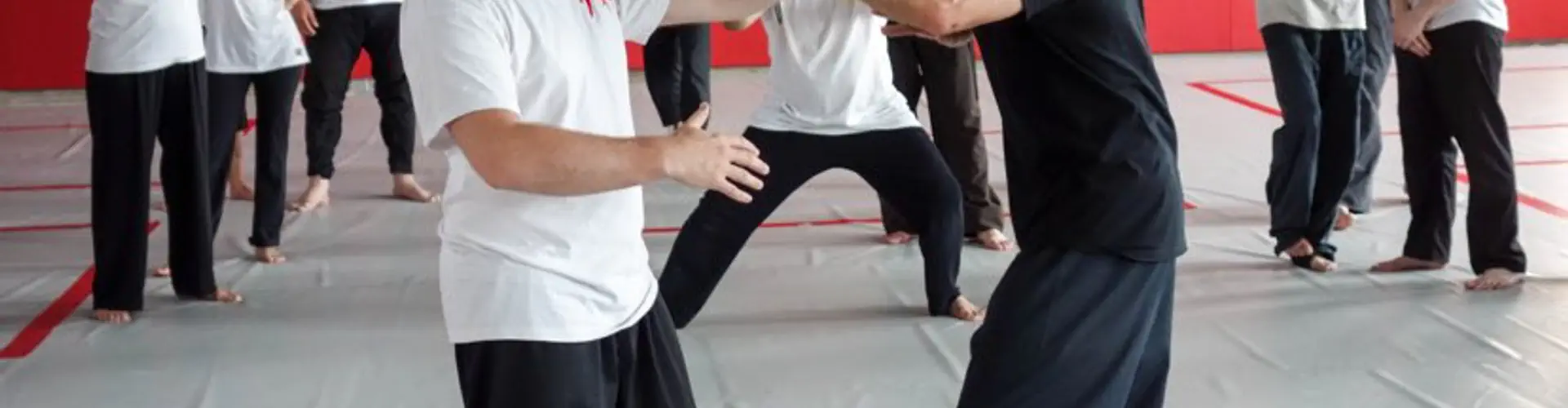 All Rennes Au Dojo