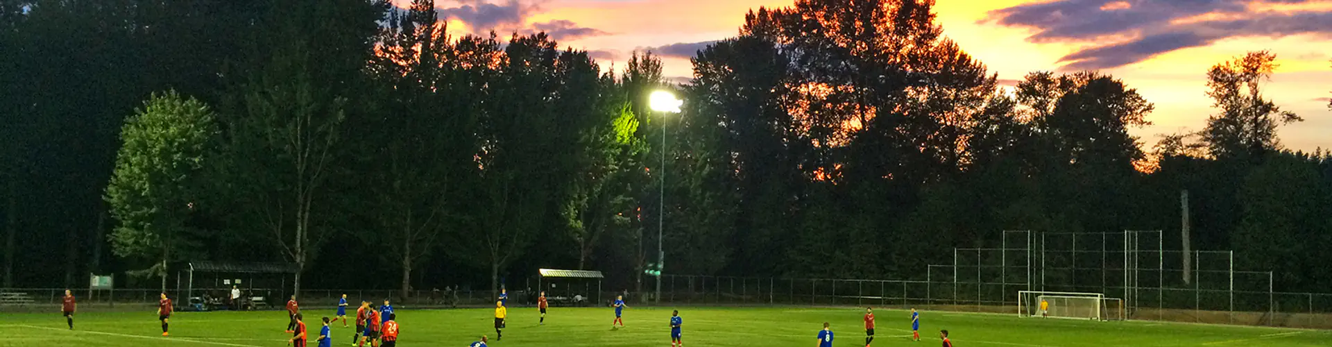 Trasolini Turf Field