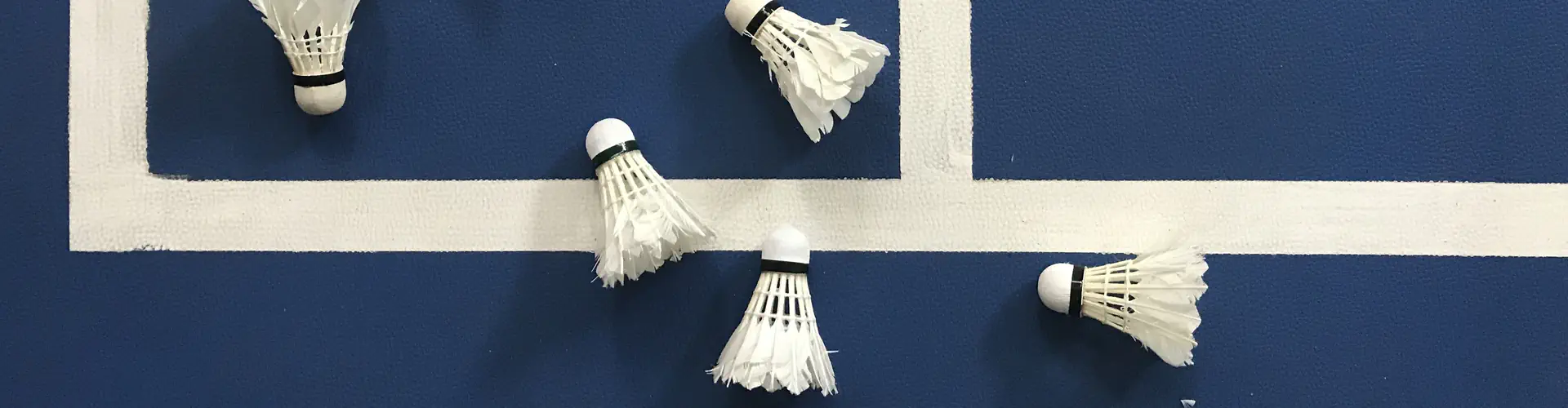 South Australian Badminton Association