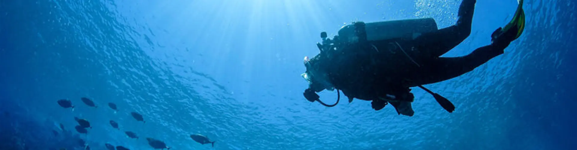 Epic Scuba and Surf