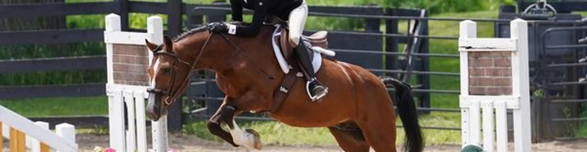 Scrapbook Camp at Greyden Equestrian