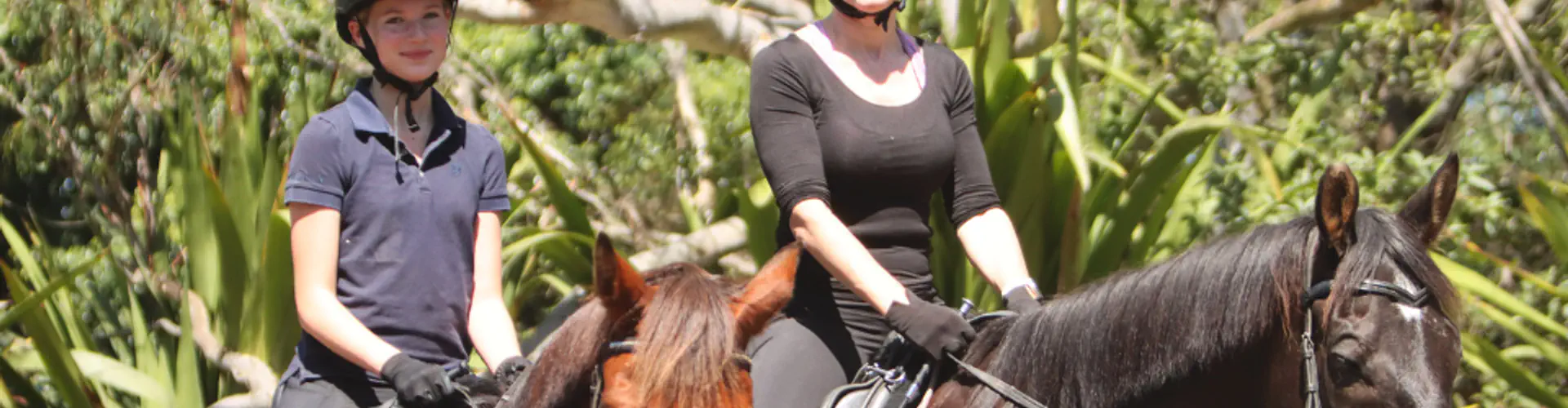 Riding Lessons for Two Family & Friends Combo Lesson