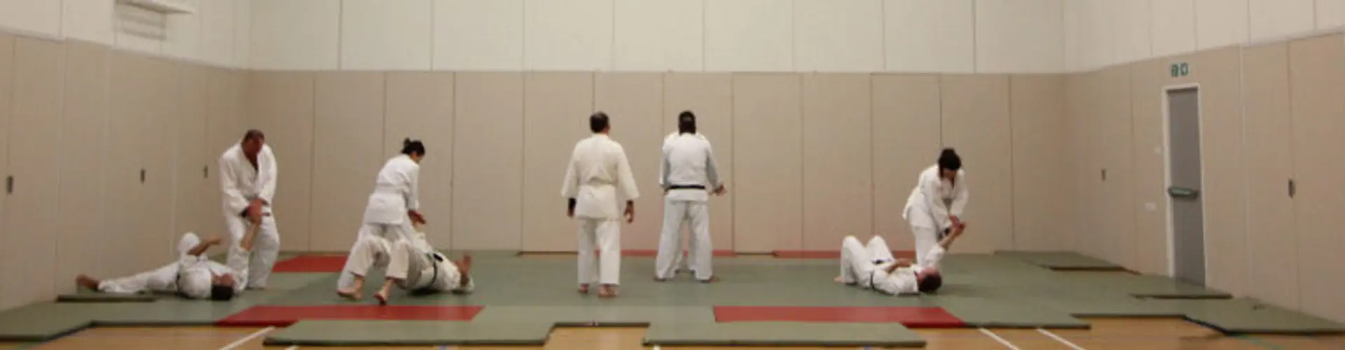 Epsom and Ewell Aikido Society