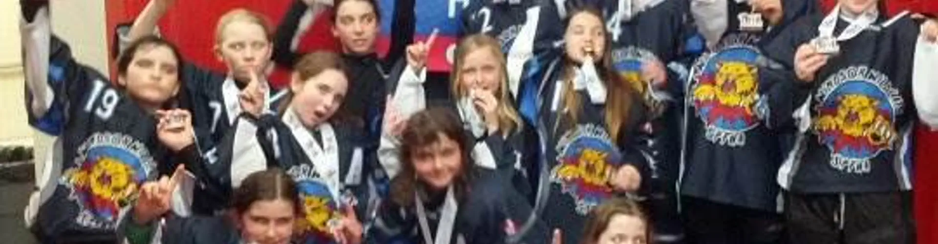 Lasalle Sabrecats Female Hockey