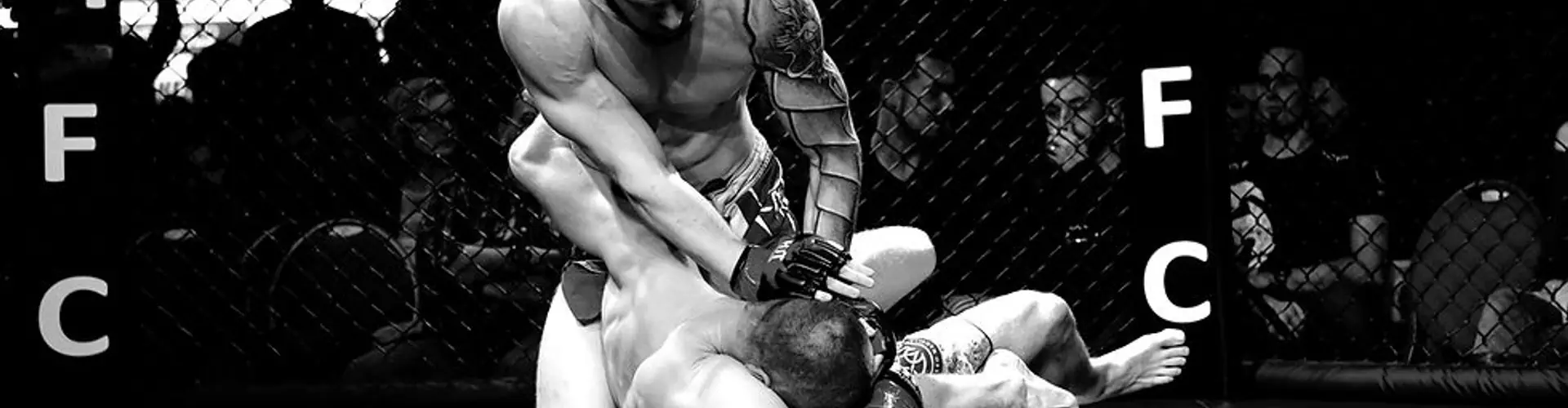Gladiator Fight Club (MMA Verdun)