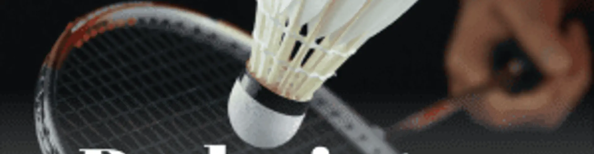 Fitso Hennur Agon Sports, Multi - Sports