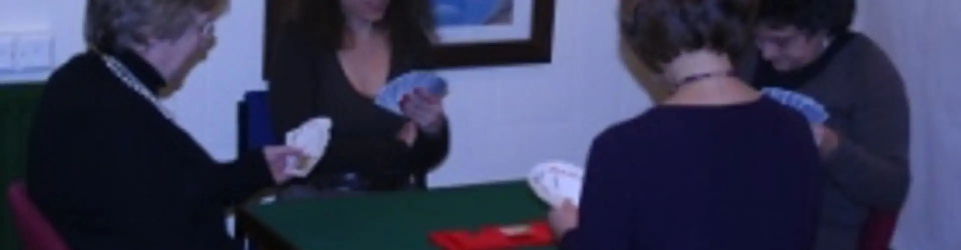 Learn to Play Bridge