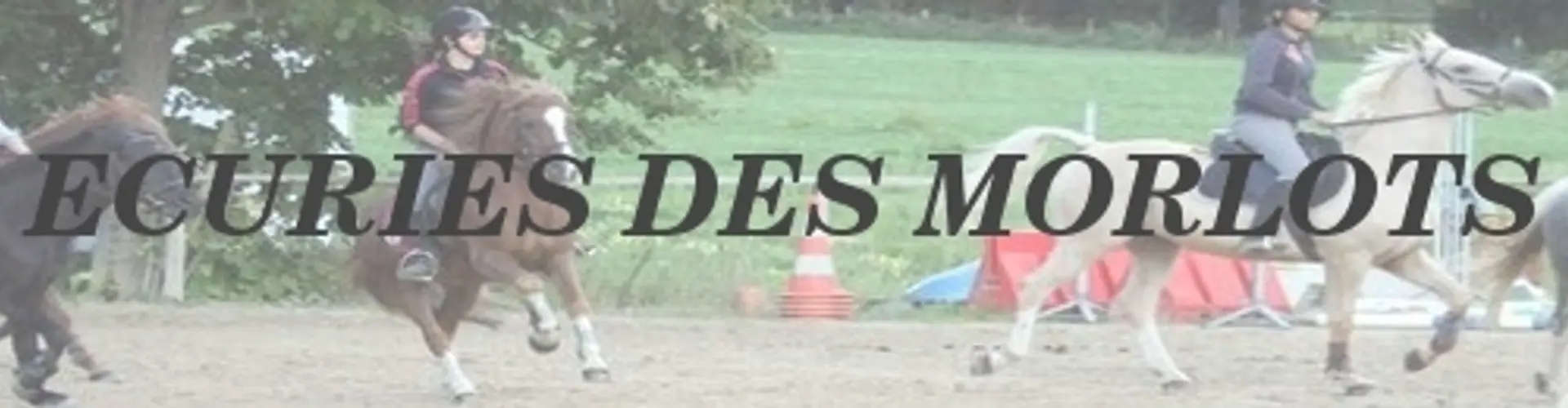 ECURIES DES MORLOTS