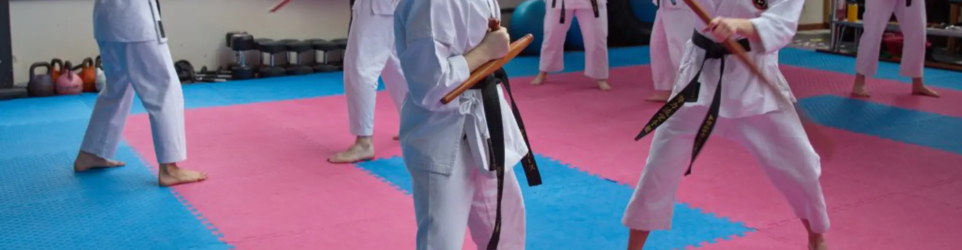 Doryoku Ryu Karate