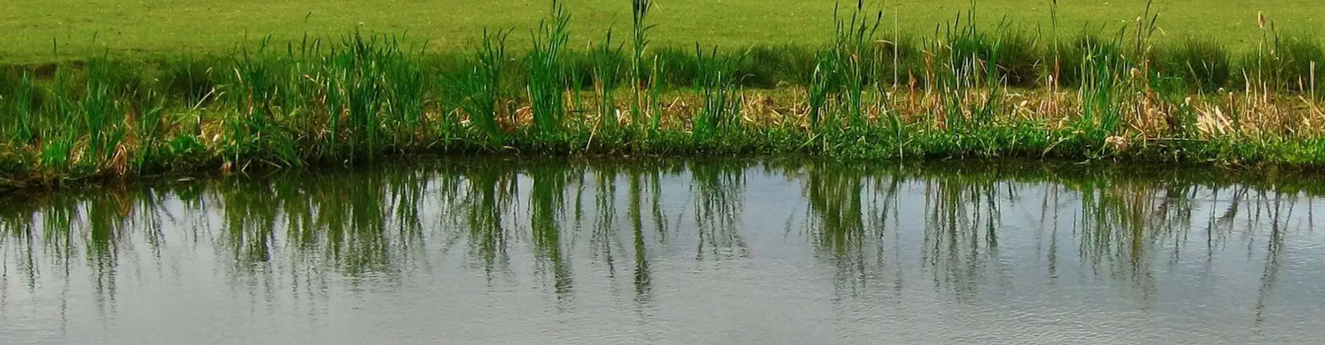 Albrighton Anglers Fishing Club Membership