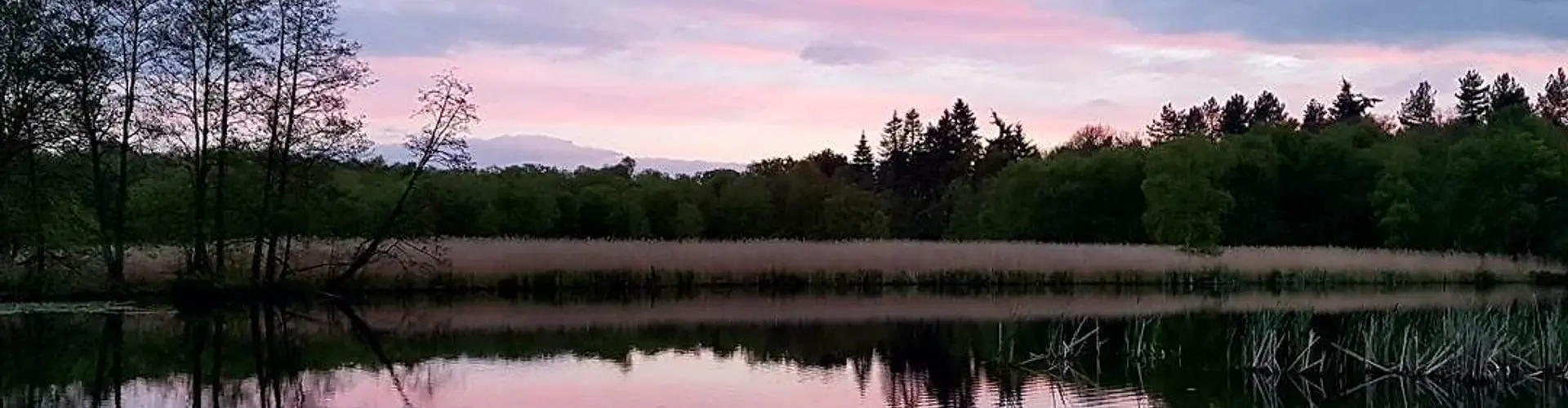 Scoulton Mere Fishery