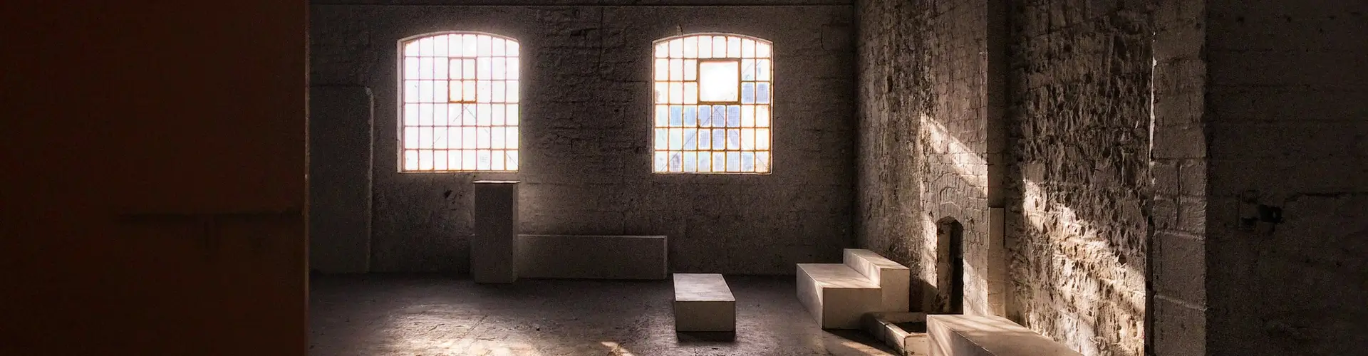 D-Light Studios