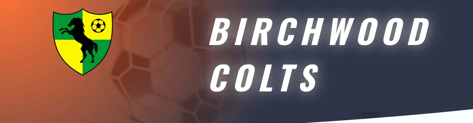 Birchwood Colts