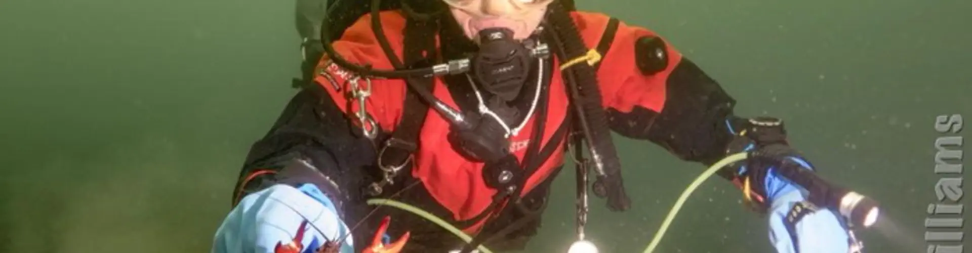 London Hellfins Scuba Diving Club