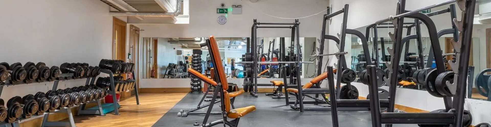 The Hive Gym