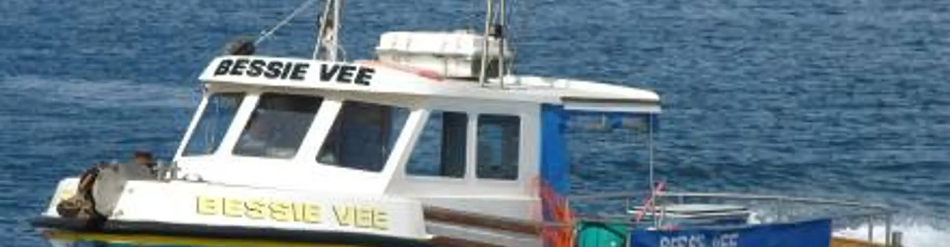 Bessie Vee Charters